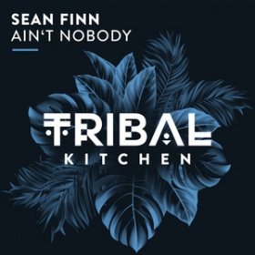 SEAN FINN - AIN'T NOBODY